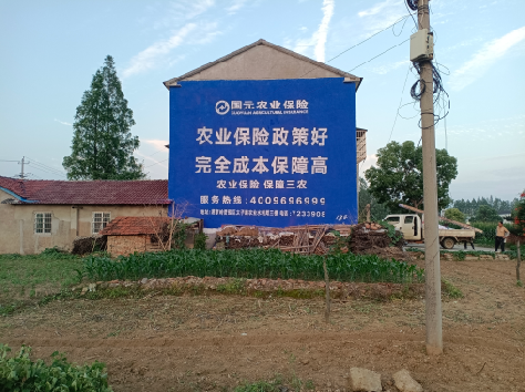 都安墙体广告的优劣势你知道吗?